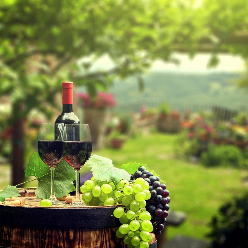 молдавское вино, молдавское домашнее вино, молдавское вино изабелла, молдавское красное вино, молдавские вина отзывы, лучшие молдавские вина, вино из молдавского винограда