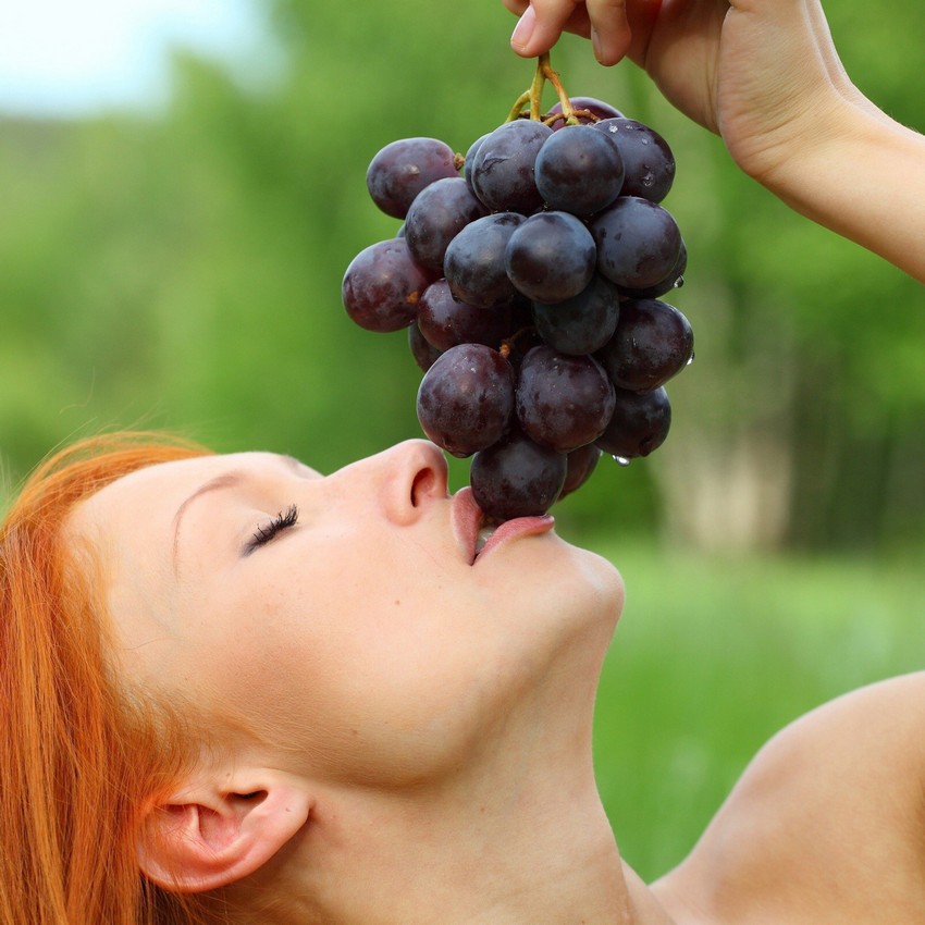 Все о сортах винограда для вина