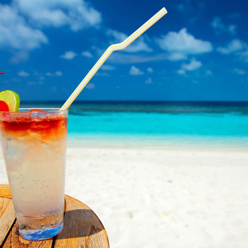 Все о самбуке